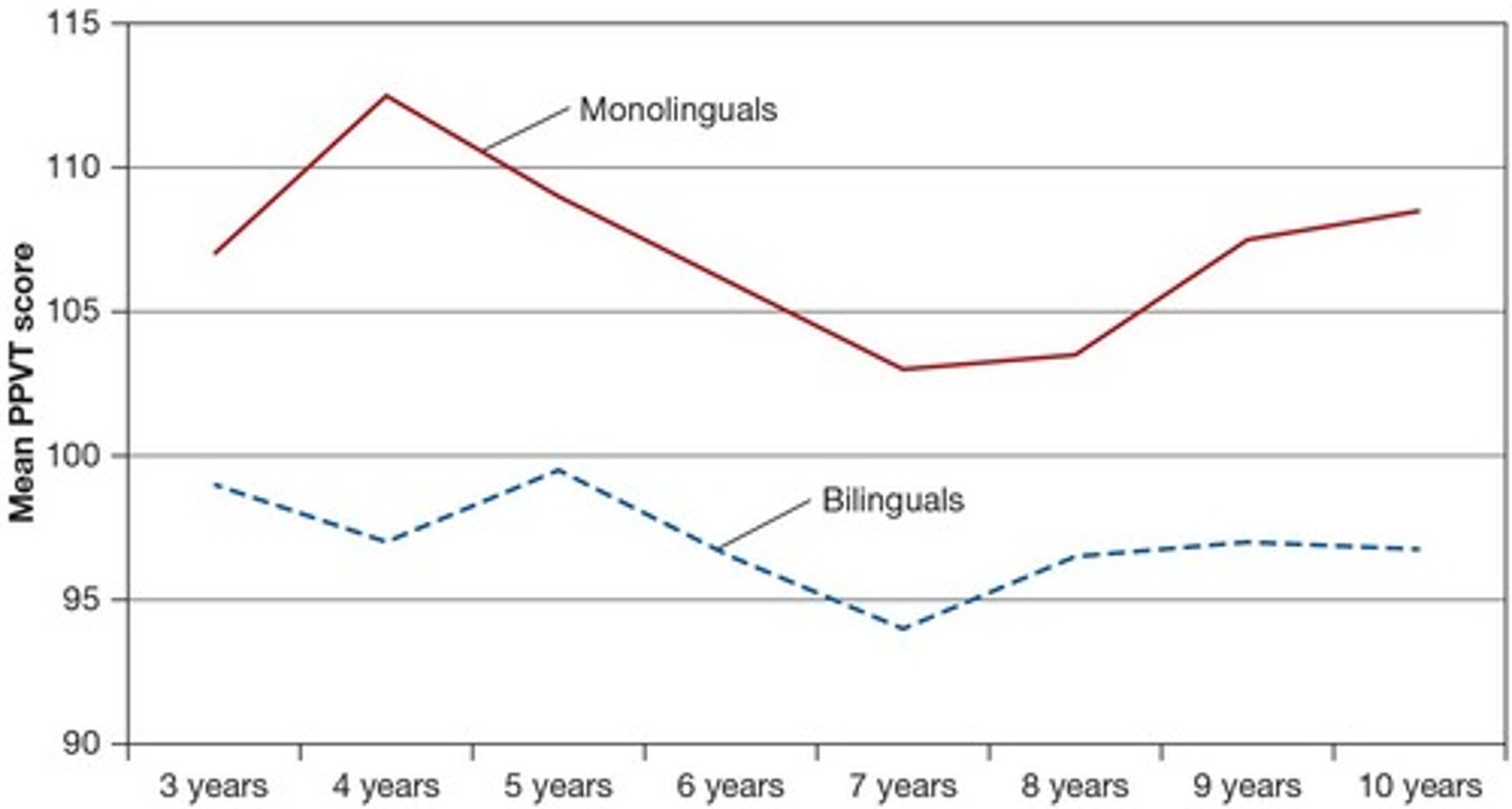 <p>Simultaneous bilingualism involves interdependent language development and code-switching.</p>