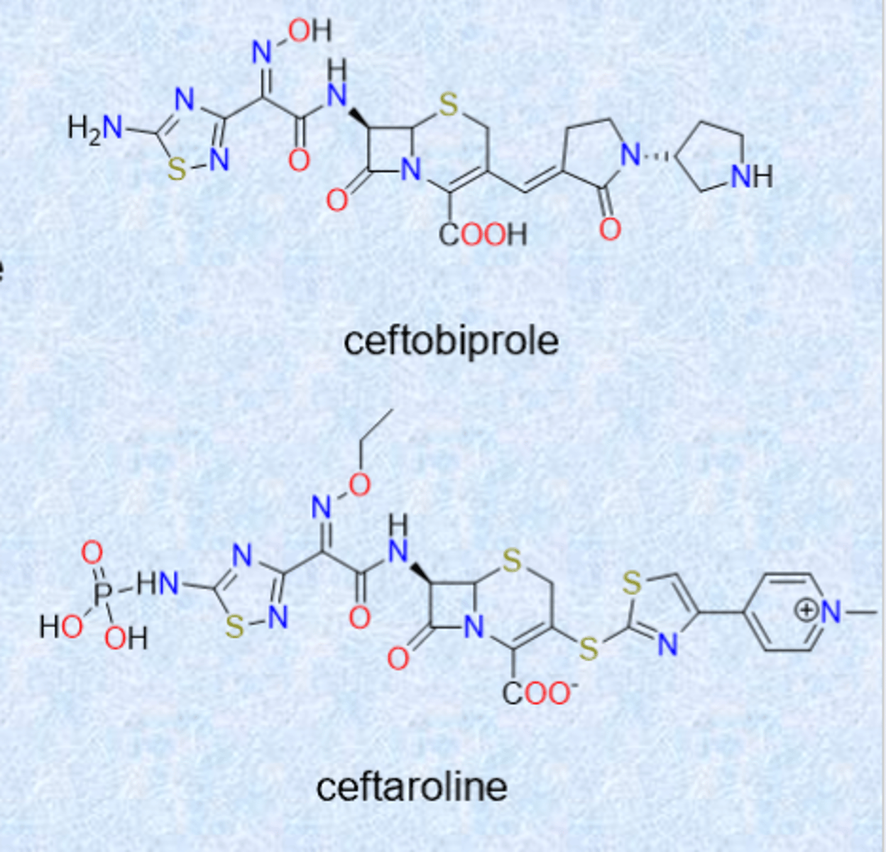 <p>ceftobiprole (2024 US approval)</p><p>– activity against Gram-positive and –negative organisms</p><p>– binds and inhibits PBP2a from MRSA</p><p>ceftaroline (2010)</p><p>– similar spectrum as ceftobiprole</p><p>– also inhibits PBP2a</p>