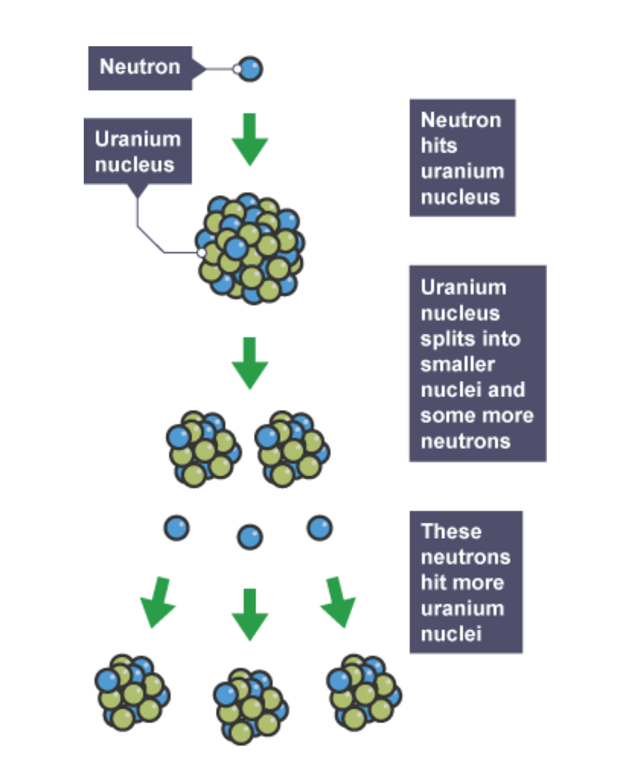 <p>the splitting of a nucleus into smaller fragments by the release of neutrons and lots on energy</p><p>fission releases which hits other fissionable atoms producing more neutrons which can react with even more fissionable atoms </p><p>chain reaction </p>