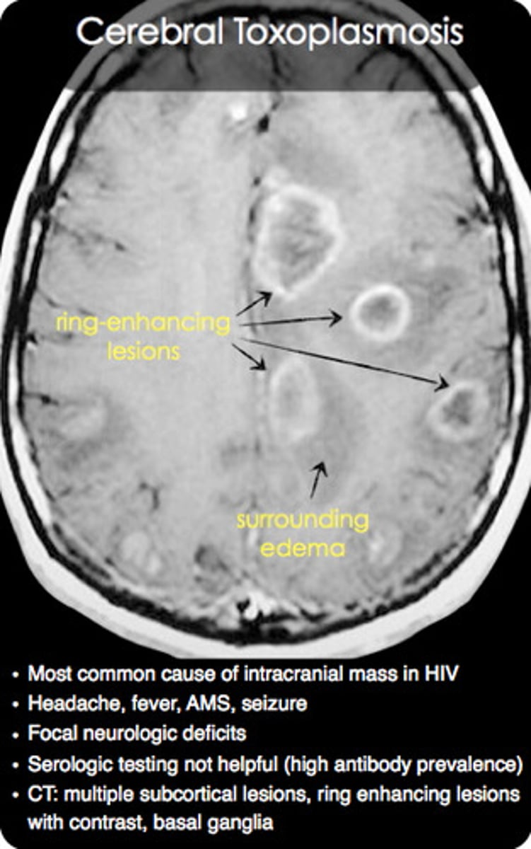 <p>No, they attack different things</p>