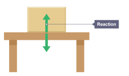 <p>reaction force</p>