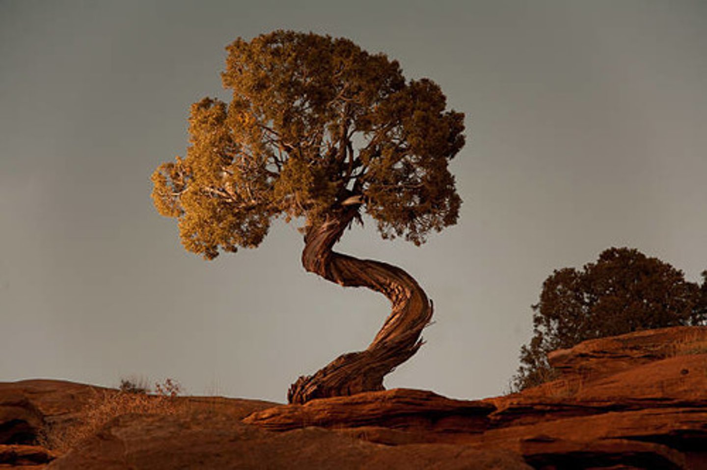 <p>In this parable, Chuang Tzu emphasized that things should not be forced into a particular use. Rather, they should be used in a natural way.</p>
