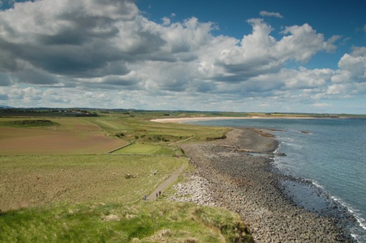 <p>located on or near or bordering on a coast</p>