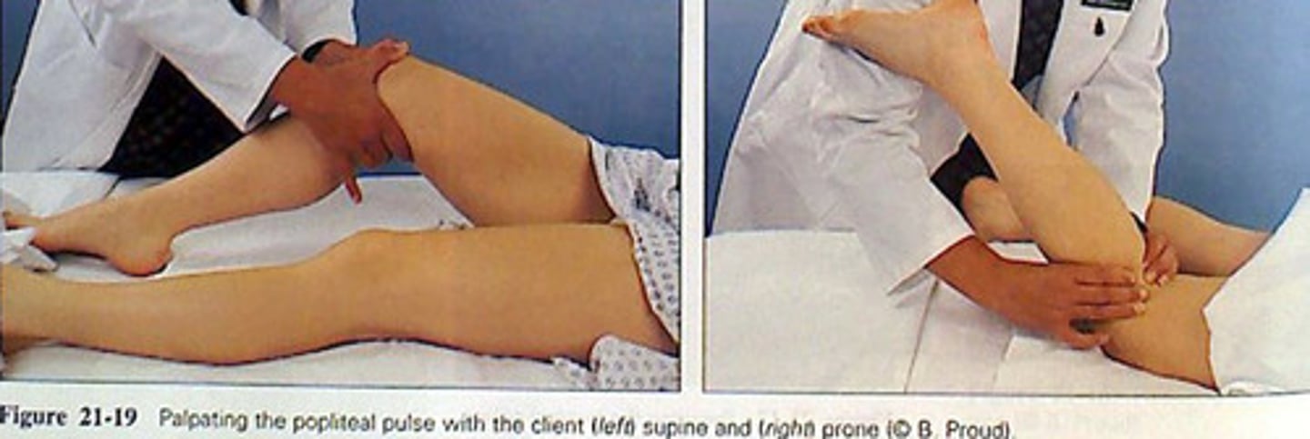 <p>The literal translation of shiatsu is?</p>