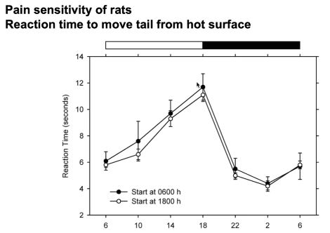 <ul><li><p>Method</p><ul><li><p>measured the reaction time of rats to move tail away from hot surface</p></li></ul></li><li><p>Pain Sensitivity Changes</p><ul><li><p>least sensitive around 6pm, most sensitive at 2am</p></li><li><p>shows that pain sensitivity changes based on time of day</p></li></ul></li></ul><p></p>