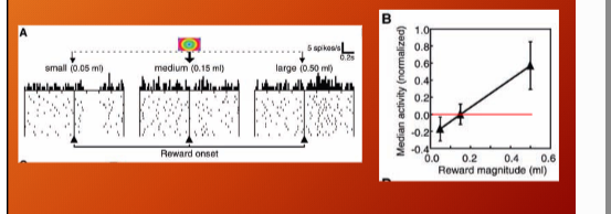 <p>0.025 + 0.075 = 0.10ml</p><p></p><p>when 0.05 ml reward given, we see deactivation cause 0.05 &lt; 0.10 and 0.15 &gt; 0.10 so exciation</p><p>individial neurons encode average reward expected and sensitive to violations from expected reward</p>