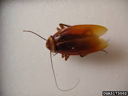 <p>What is this?</p>
