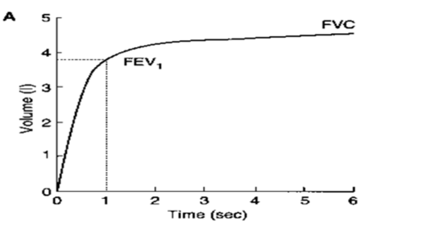 <p>FEV1 = forced expiratory volume in 1 second (after a max inpiration)</p><p>FVC = Forced vital capacity (Vital apacity but measured during a maximal expiration effort starting from TLC)</p>