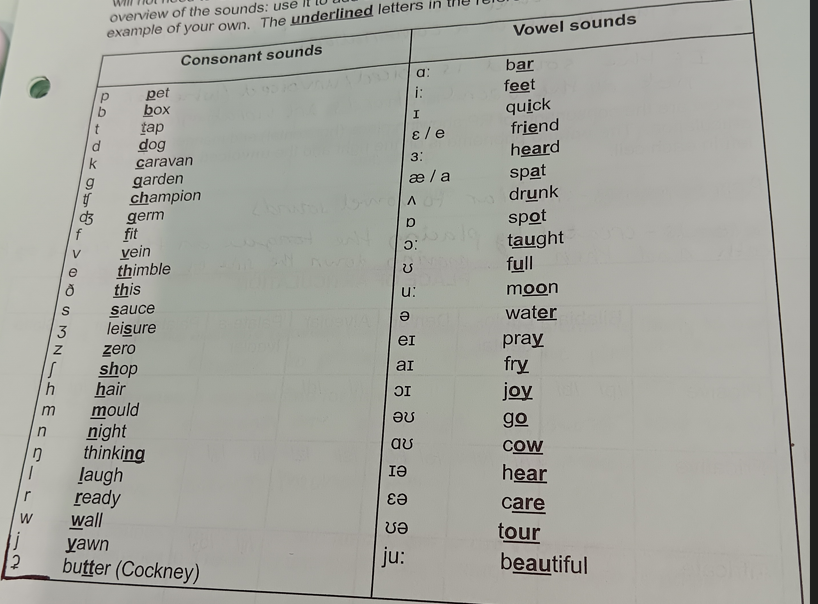 <p>The International Phonetic Alphabet (IPA)</p>