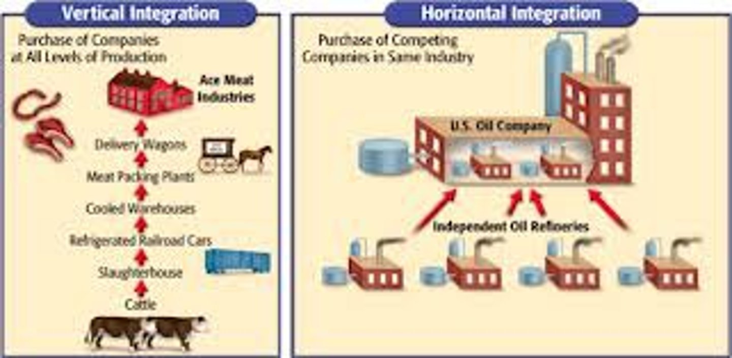 <p>Practice where a single entity controls the entire process of a product, from the raw materials to distribution</p>