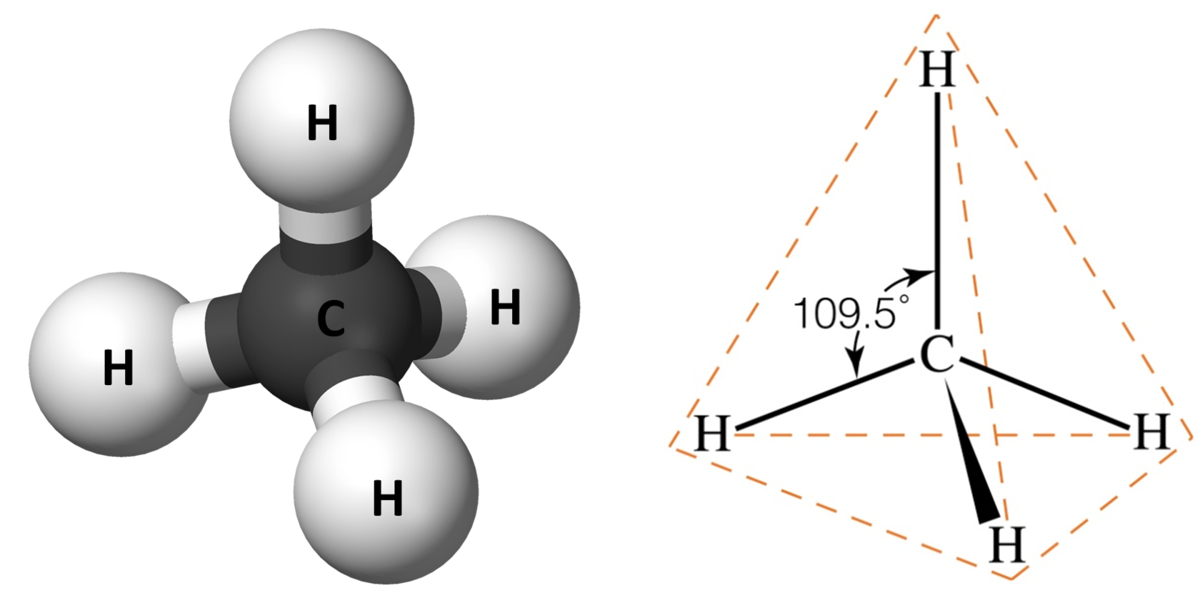 <p>Atom with 4 sigma bonds </p>