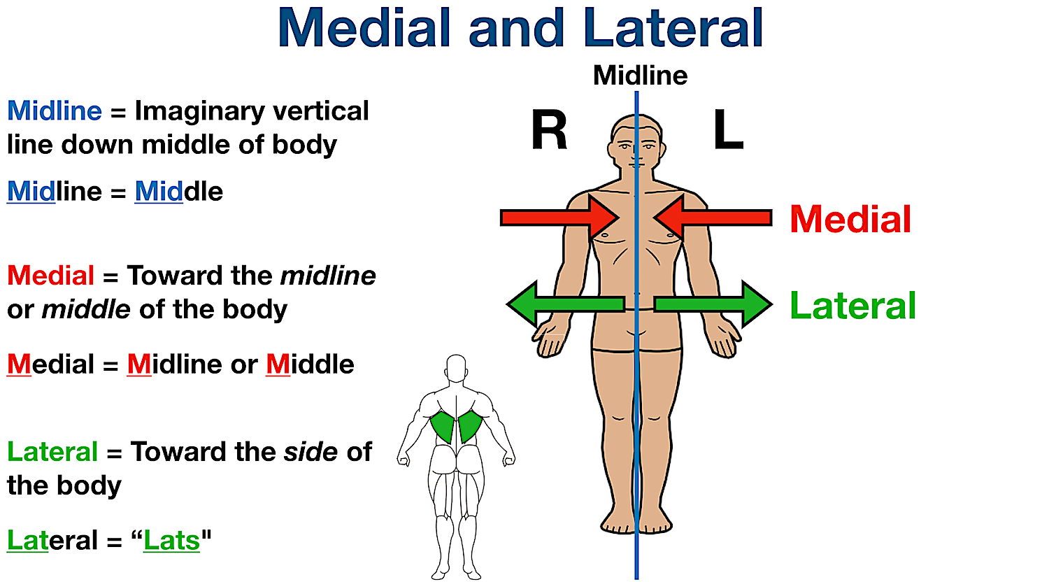 Medial: towards midline

Lateral: away from midline