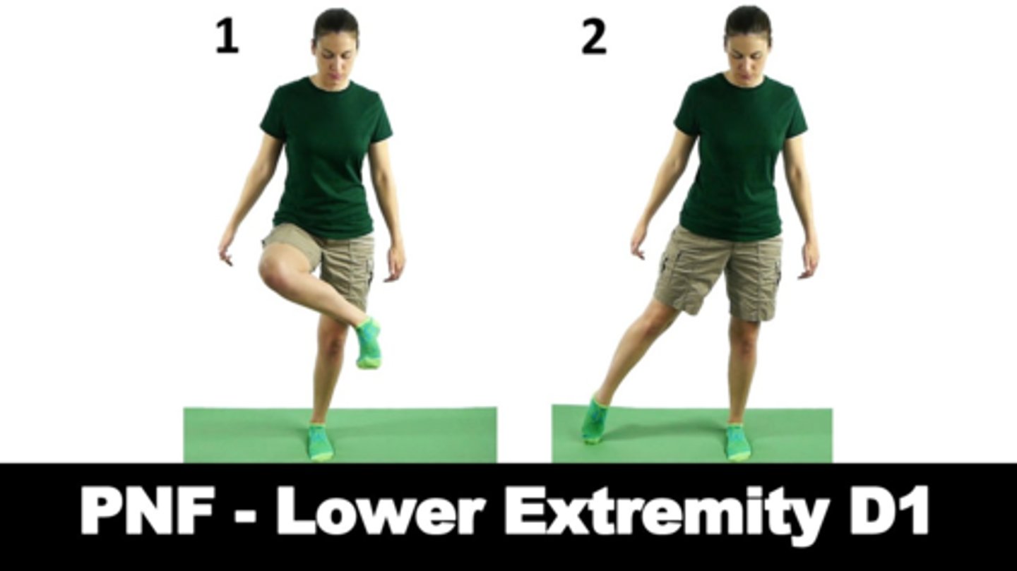 <p>Hip: Flex, ADD, ER</p><p>Knee: Ext or flex</p><p>Ankle: DF, Inv</p><p>Toe: extension</p><p>Hacky sack</p>