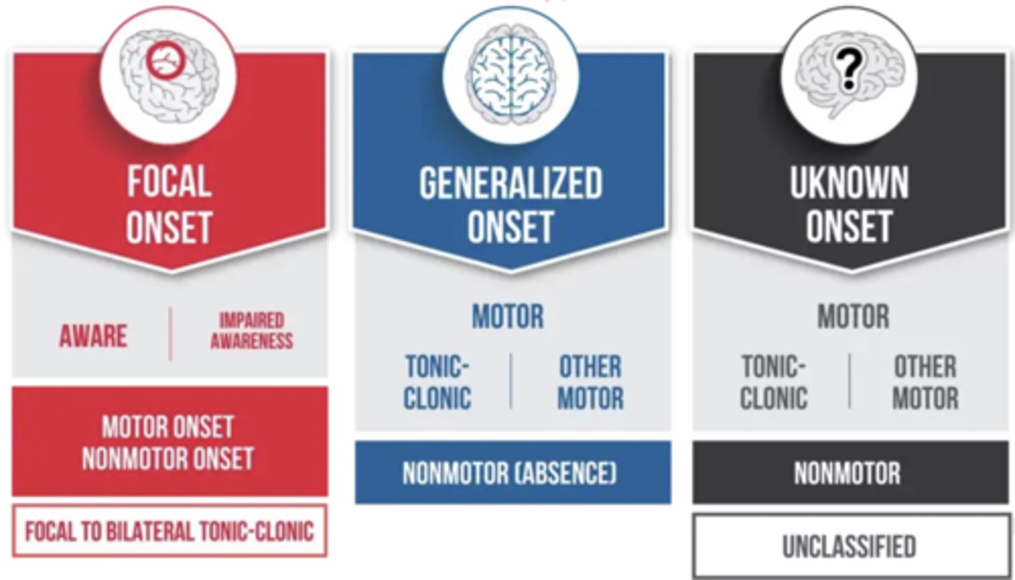 <p>Focal onset</p><p>Generalised onset</p><p>Unknown onset</p>