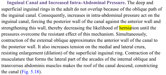 <p>the deep and superficial inguinal rings do not overlap because of the oblique path on the inguinal canal. </p><p>as a consequence, increases of inguinal abdominal pressure act on the inguinal canal, forcing the posterior wall of the canal against the anterior wall of the canal, strengthening this wall and decrease the likelihood of gaining a hernia UNTIL THE PRESSURE OVERCOMES THE PRESSURE OF THE WALLS PUSHING AGAINST EACH OTHER.&nbsp;</p>