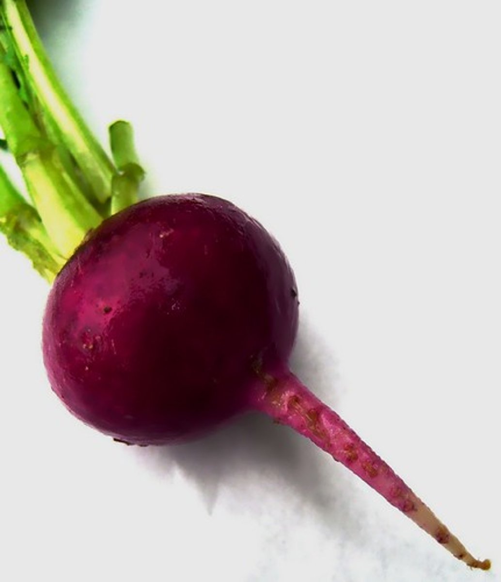 <p>red beet</p>