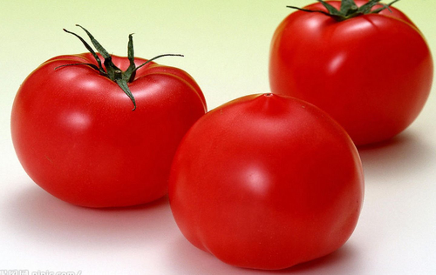 <p>fān qié - tomato</p>