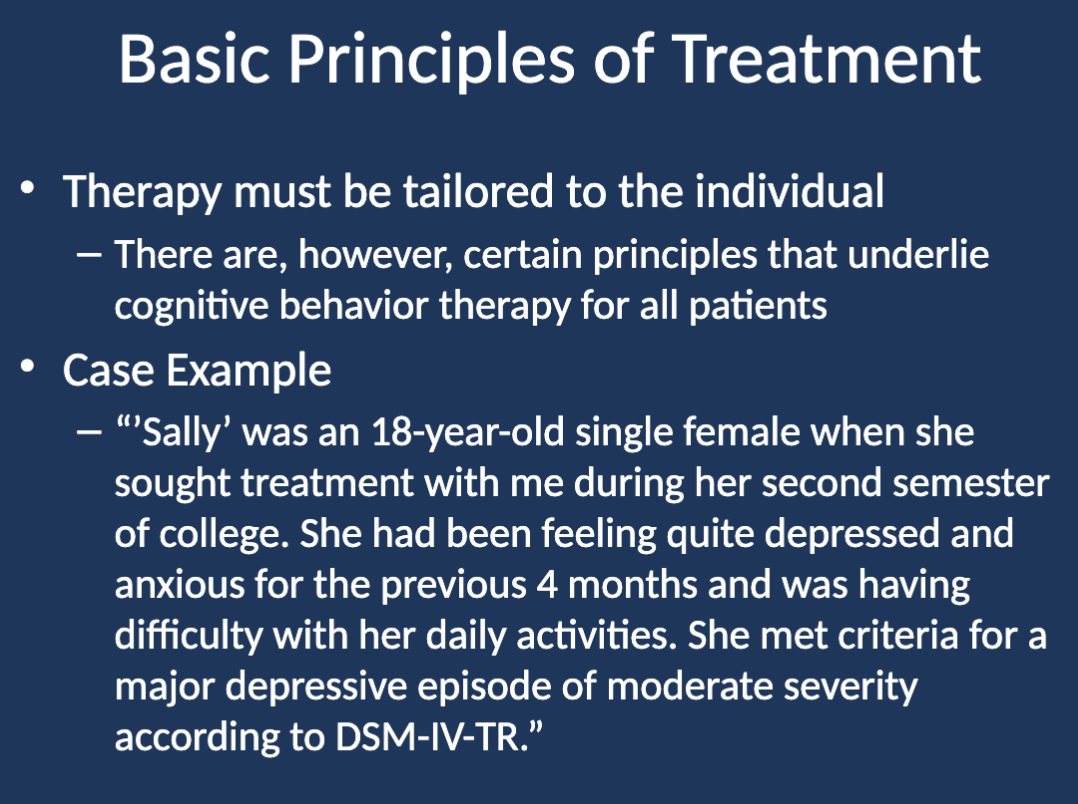 <p>They are foundational guidelines that structure cognitive behavior therapy, emphasizing individualized treatment, goal orientation, patient education, and structured sessions.</p>