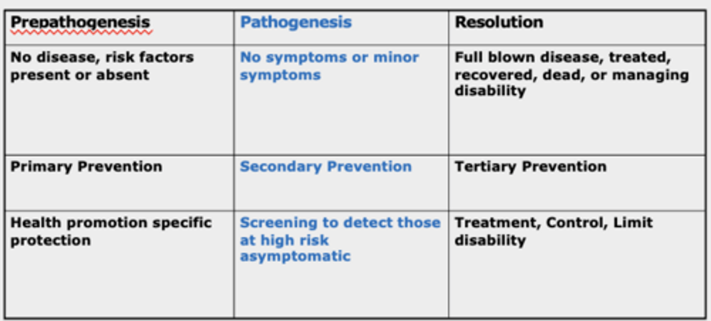 <p>prepathogensisis, pathogenesis, or resolution (each with prevention level)</p>