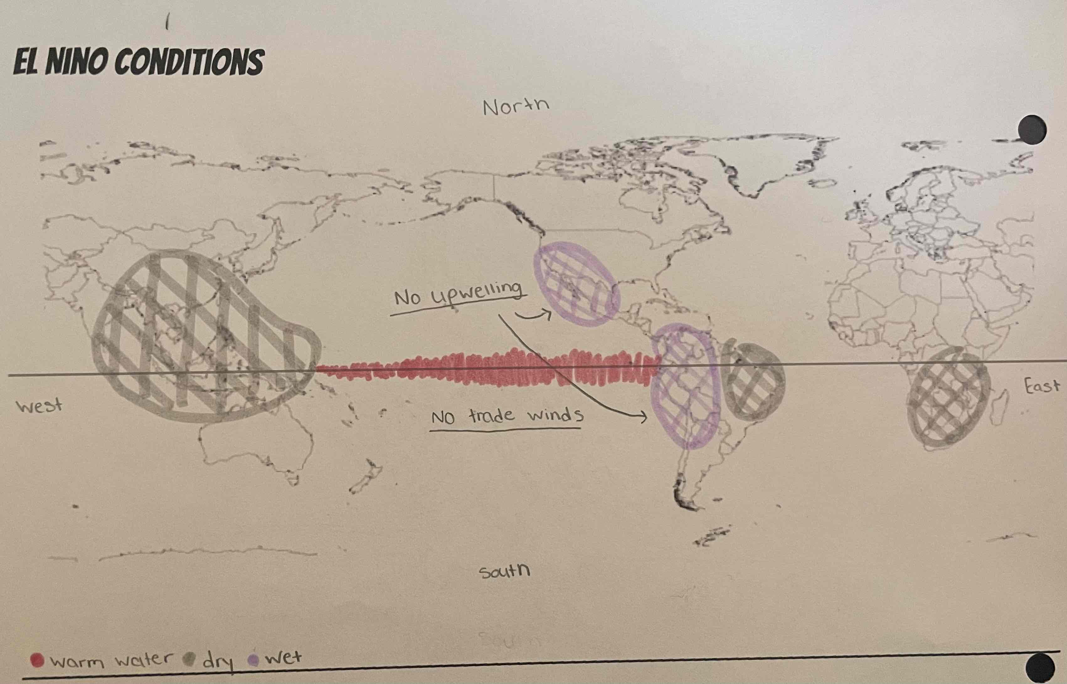 <ul><li><p>happens every 3/7 years</p></li><li><p>trade winds reverse/ stop</p></li><li><p>normal conditions essentially reversed</p></li><li><p>No Upwelling</p></li></ul><p></p>