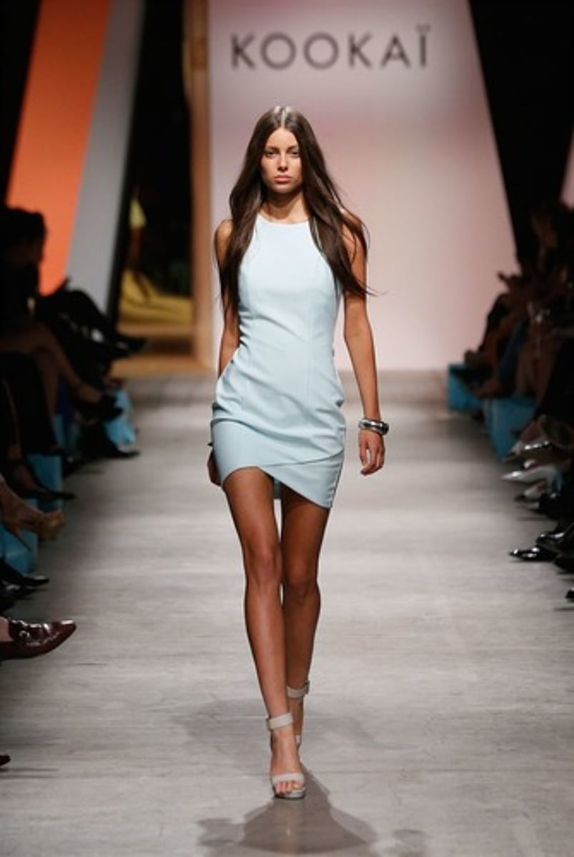 <p>model</p>