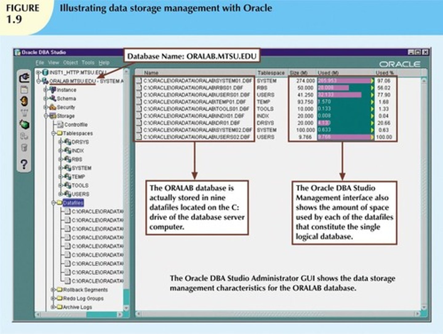<p>The DBMS stores the database in multiple physical data files.</p>