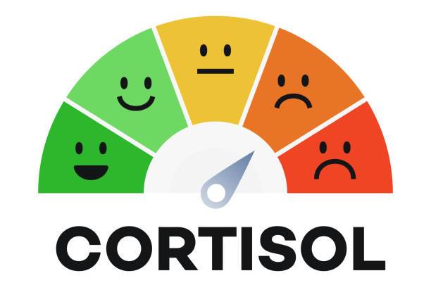 mức độ cortisol – High cortisol levels are linked to stress.