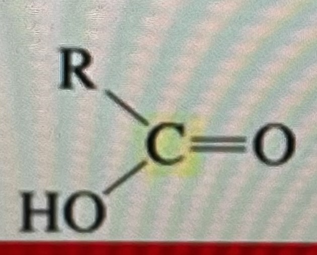 <p>carboxylic acid</p>