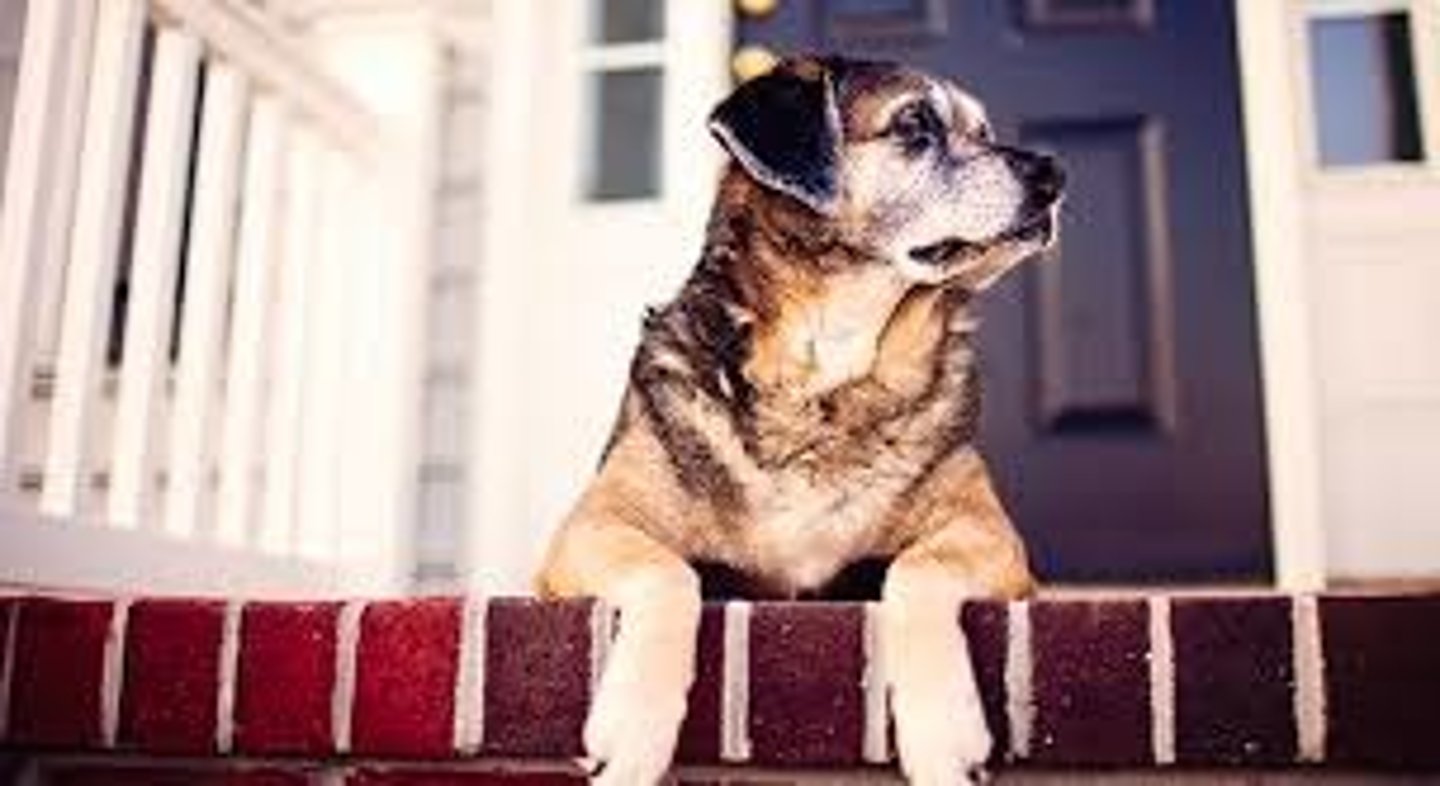 <p>liú zài-stay</p>