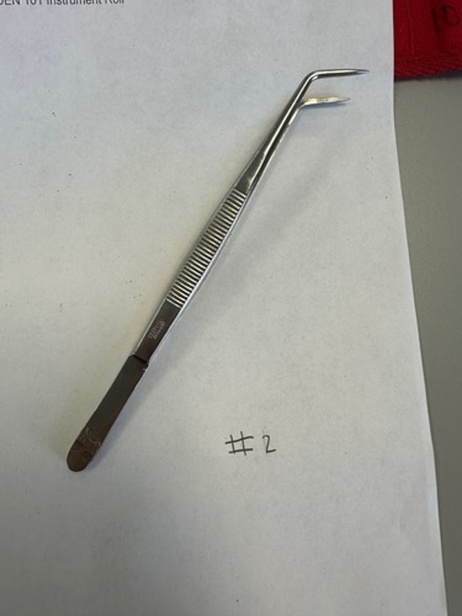 <p>Used to carry, place, and retrve small objects such as cotten, bands, wedges available in plain and serrated points (examination instruments)</p>