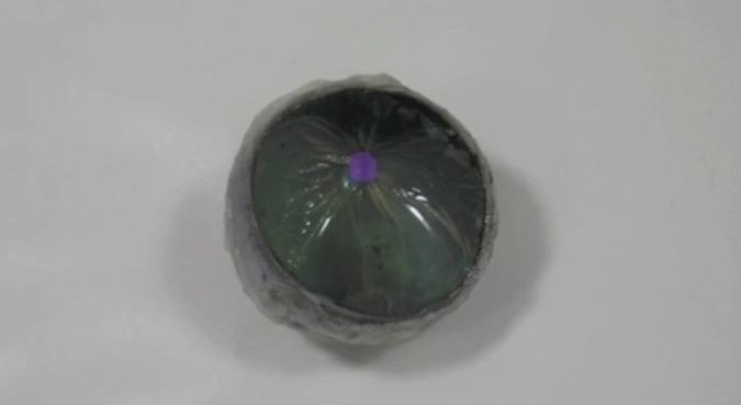 <p>Optic disc</p>