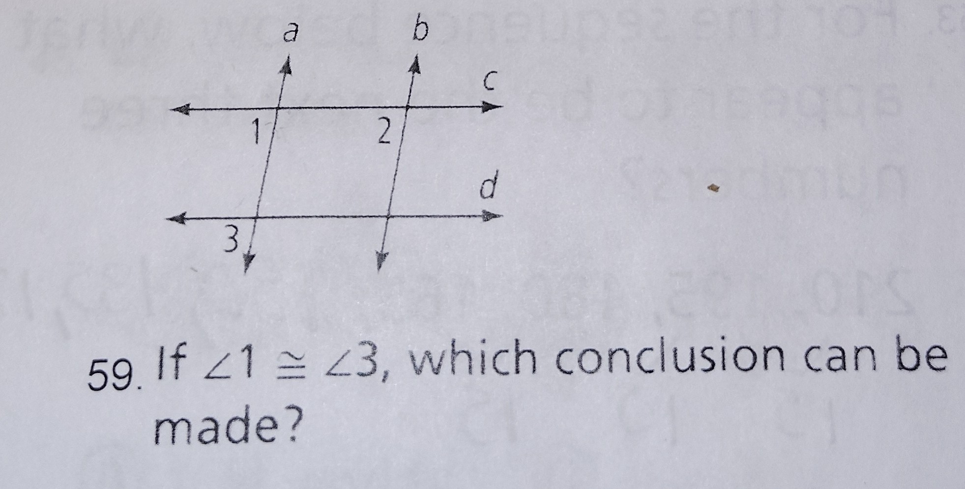 <p>Which Conclusion can be made?</p>
