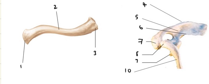 <p>1 &amp; 8</p>