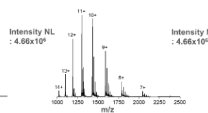 <p>This is the mass spectrum for ____.</p>