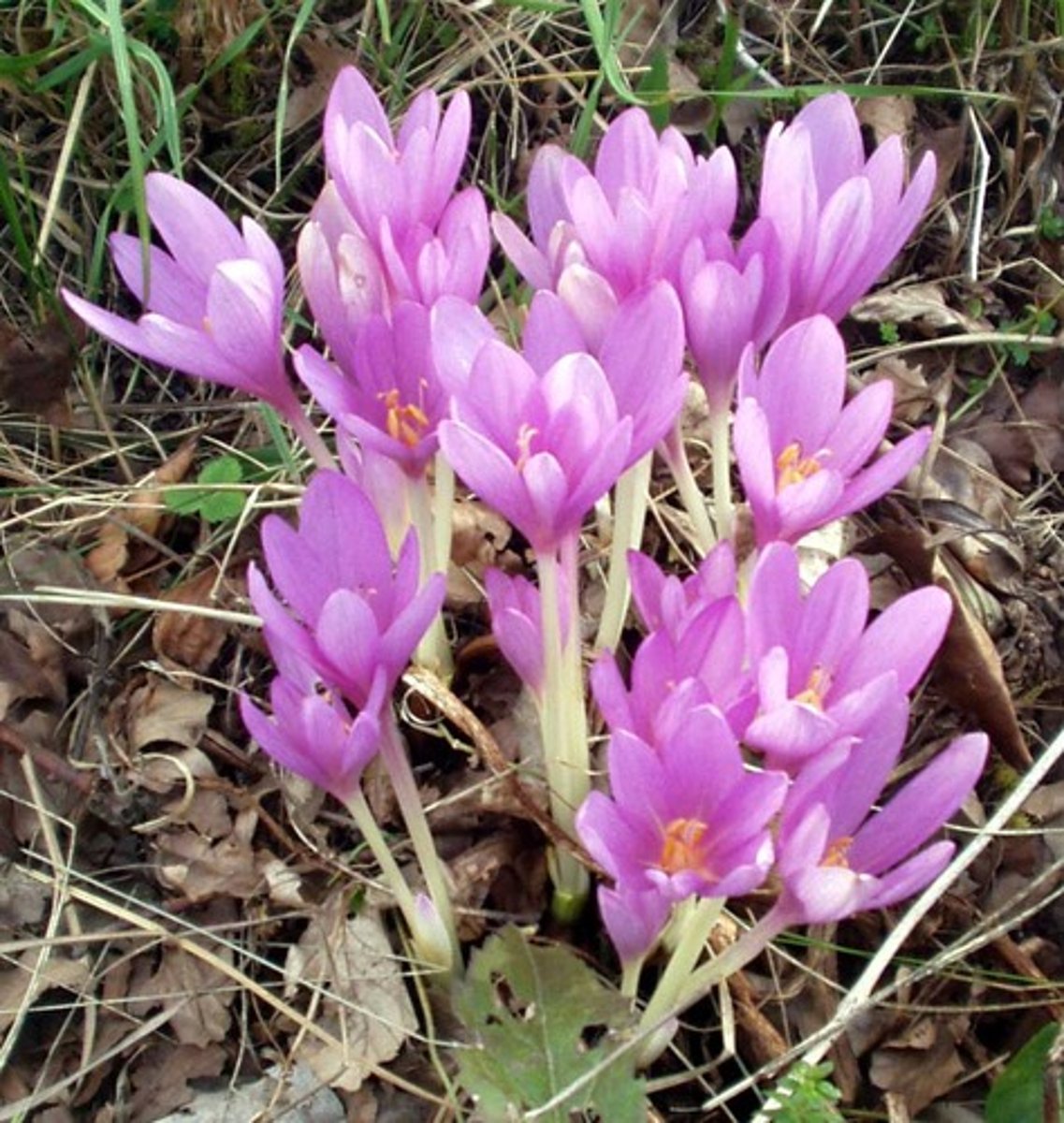 <p>Name?</p>