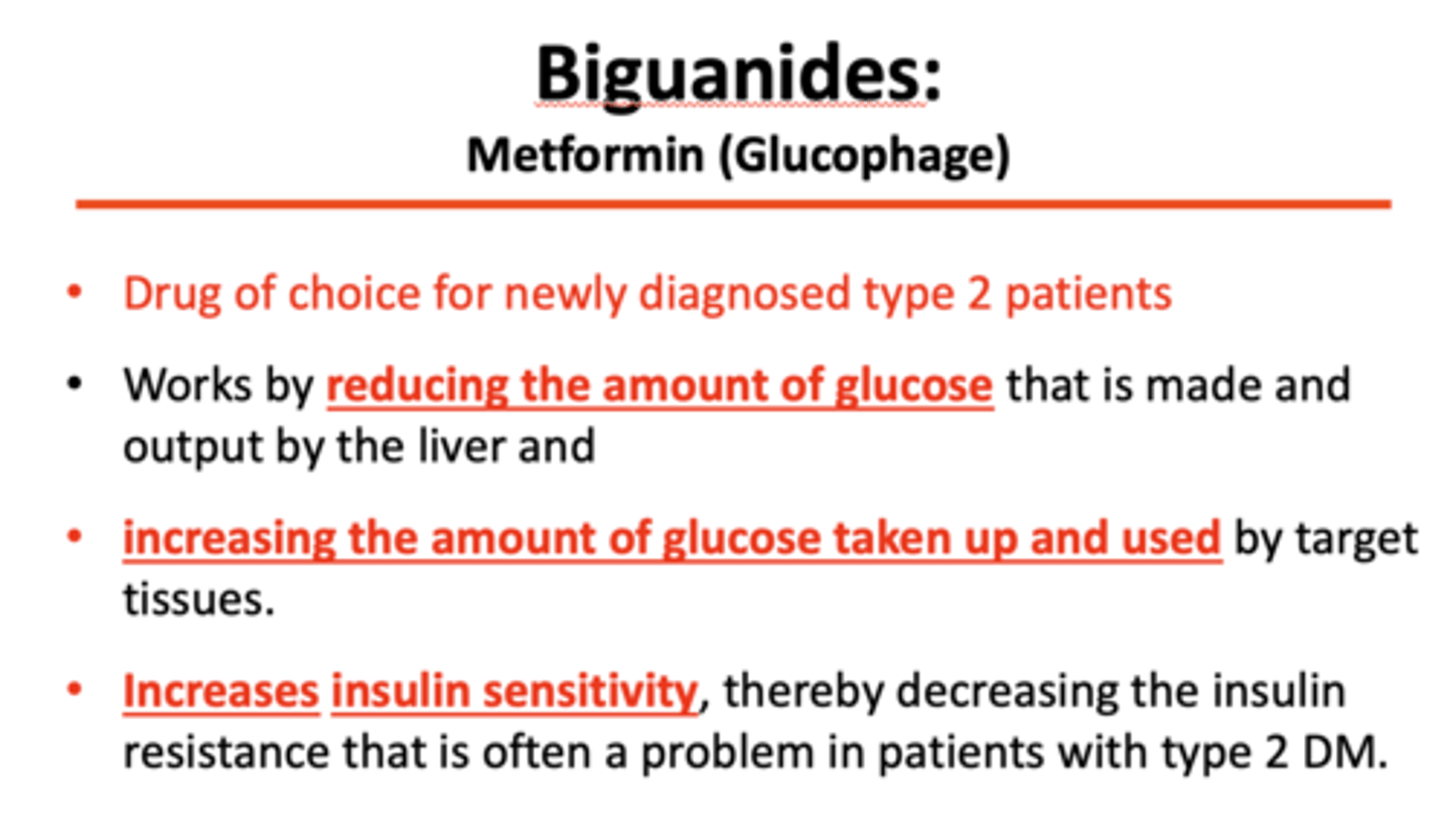 <p>Metformin (Glucophage)</p>