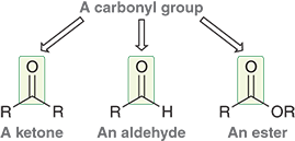 <p>A double bond between carbon and oxygen (C=O)</p>