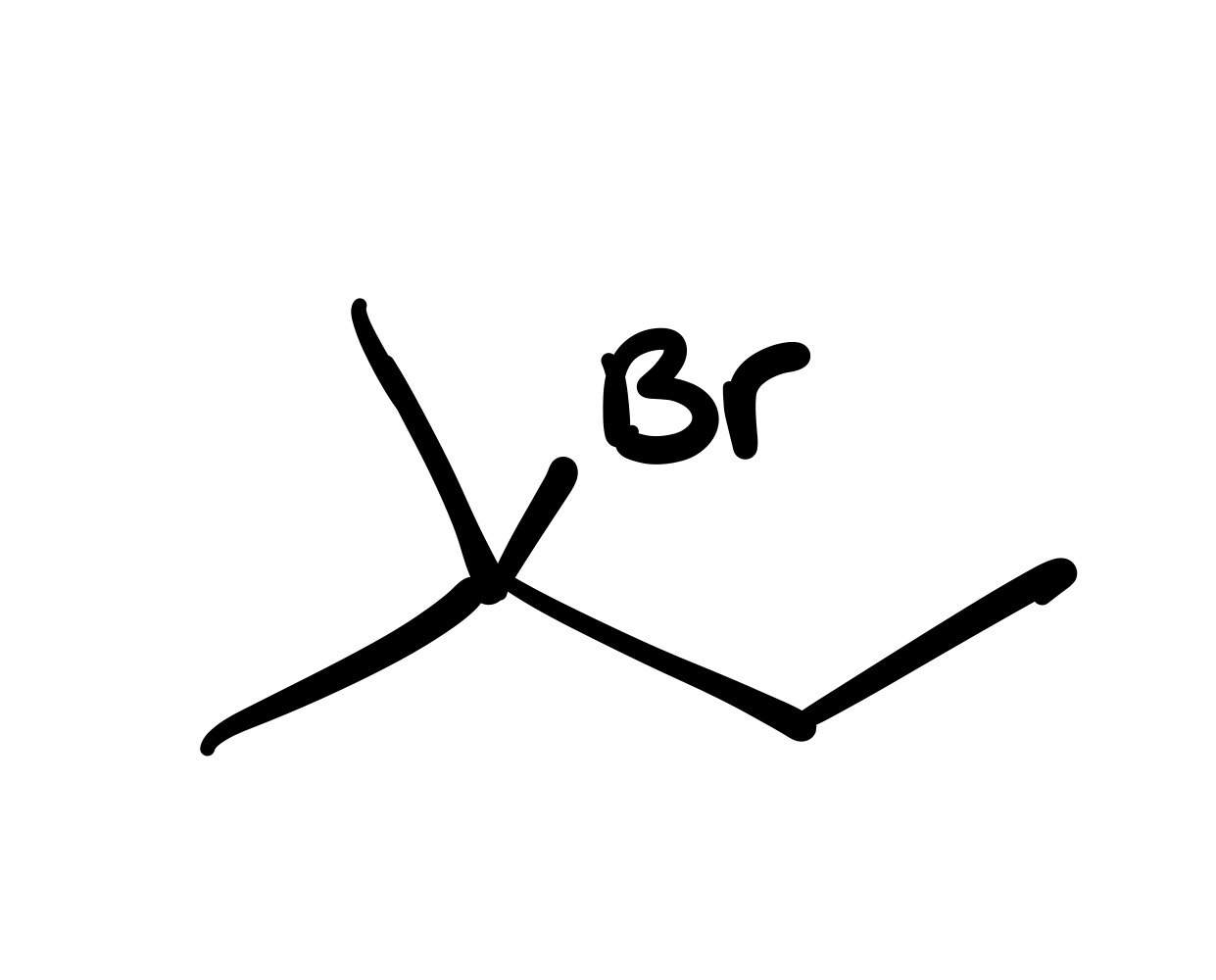 <p>The double bond is broken, and the Br is added to where the methyl group is (no wedge/dash)</p>