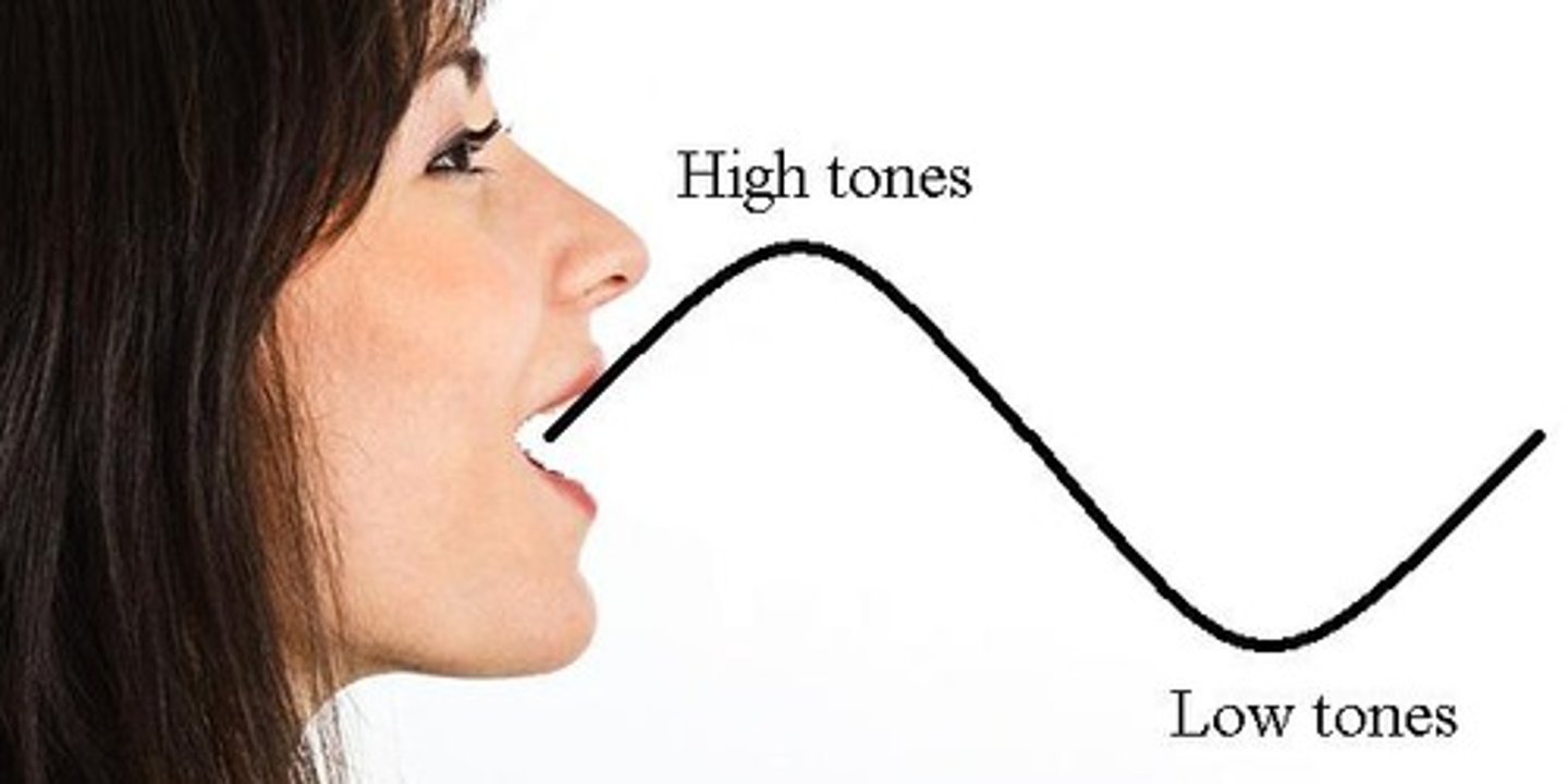 <p>(n.) modulation of the voice; change in pitch or tone of voice.</p>