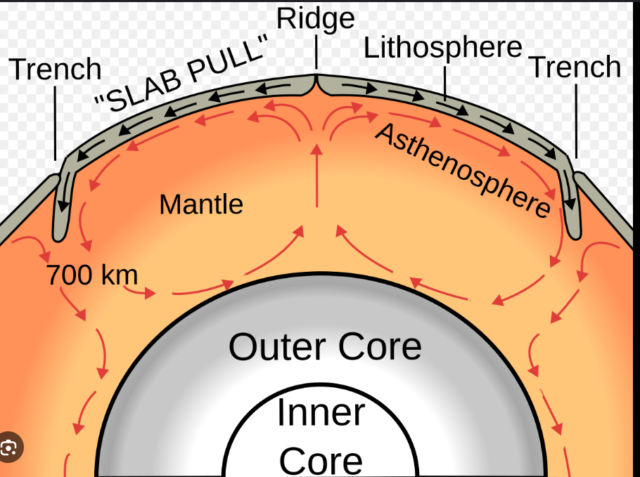 <p>Convection currents due to heating up and cooling down in asthenosphere causes plates on the lithosphere to move, can cause subduction zones from two plates colliding and one sinks under. Gravity pulls the tectonic plate downwards (slab pulls). Diverging boundaries can cause ocean ridges to form new crust due to magma coming out and cooling down, forming new oceanic crust. Since mid ocean ridges are elevated, gravity pulls the new crust down and away from the ridge, pushing plates outwards.</p>