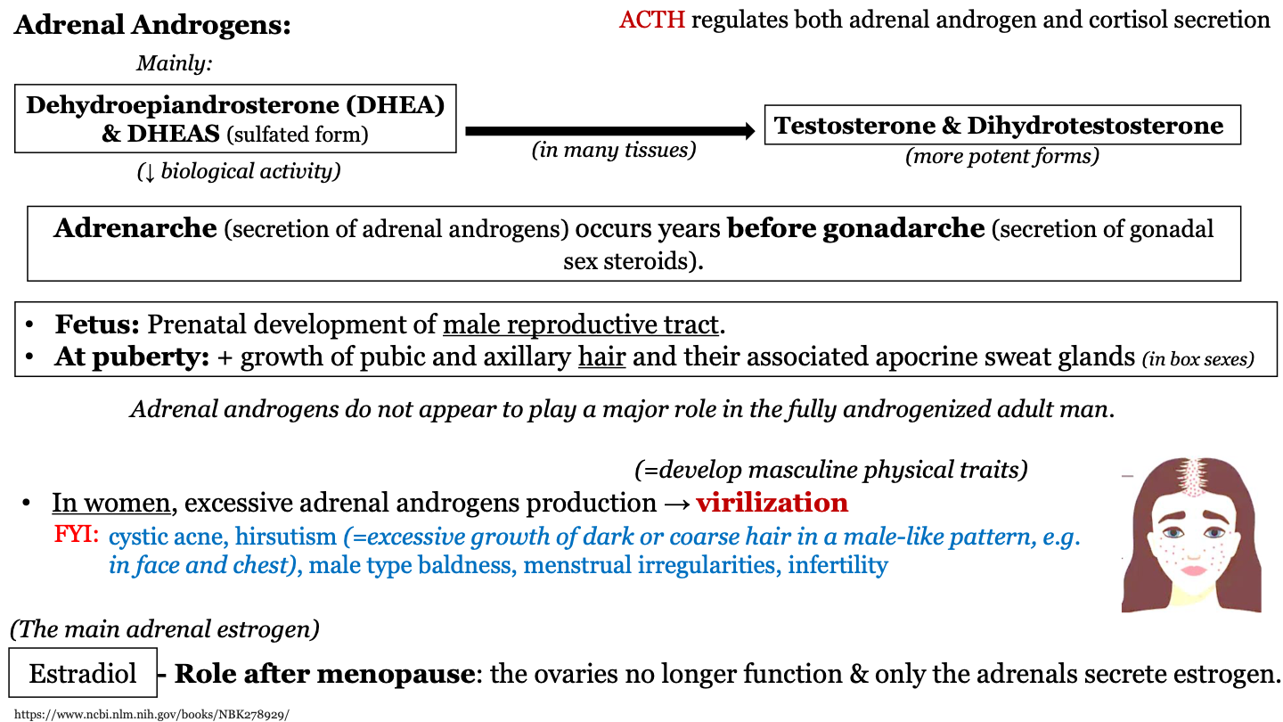 excessive adrenal androgens production in women; causes them to develop masculine physical traits