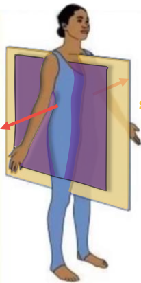 <p>plane, subplanes, &amp; axis</p>