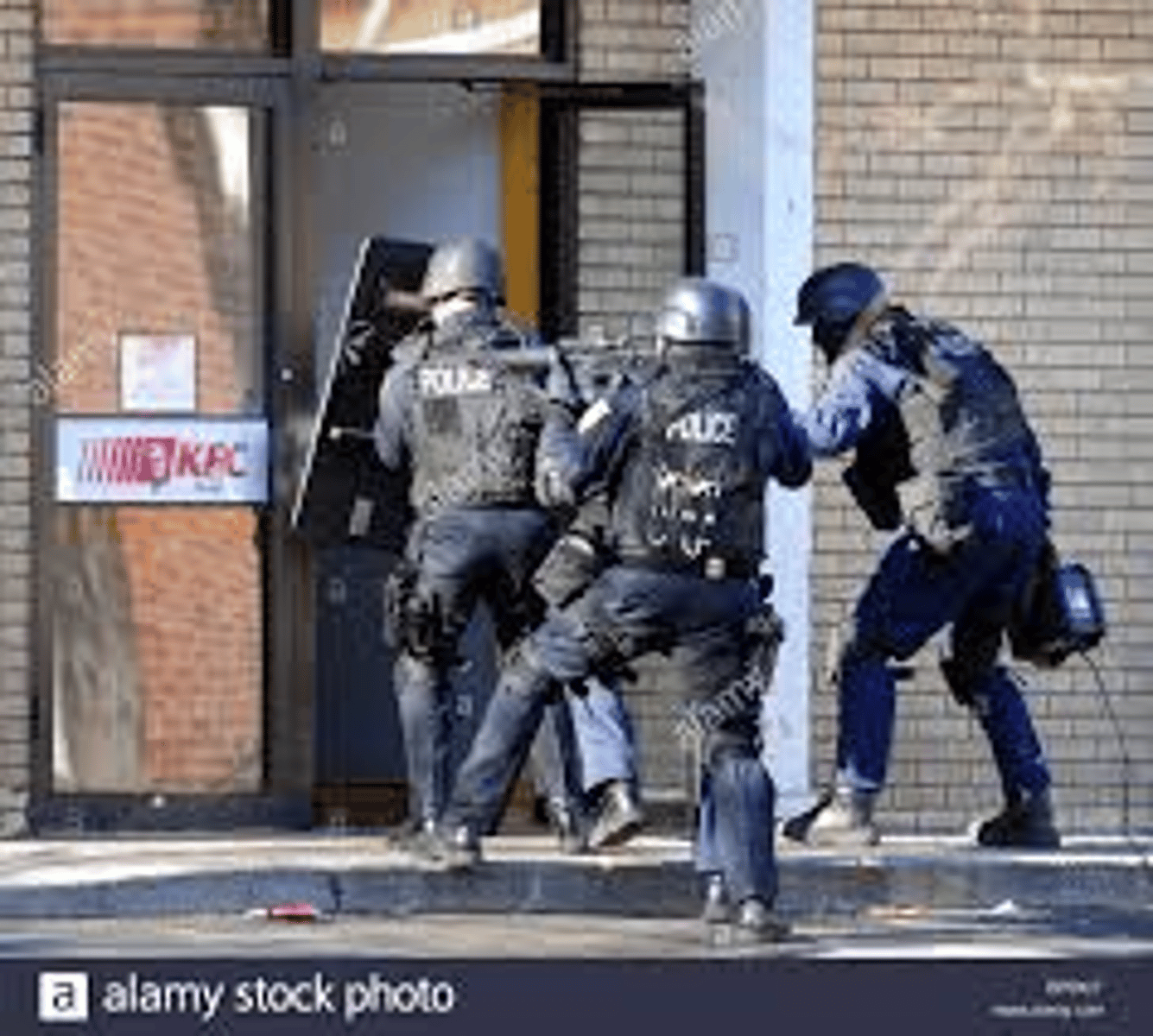 <p>(v) take action to stop crime</p>