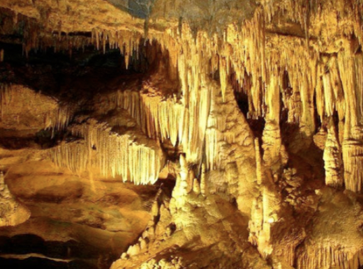 <p>Precipitation of minerals from water (e.g limestone, evaporites)</p><ul><li><p><strong>Inorganic</strong>: from natural processes (evaporation)</p></li><li><p><strong>Organic</strong>: from water-dwelling organisms</p></li></ul>