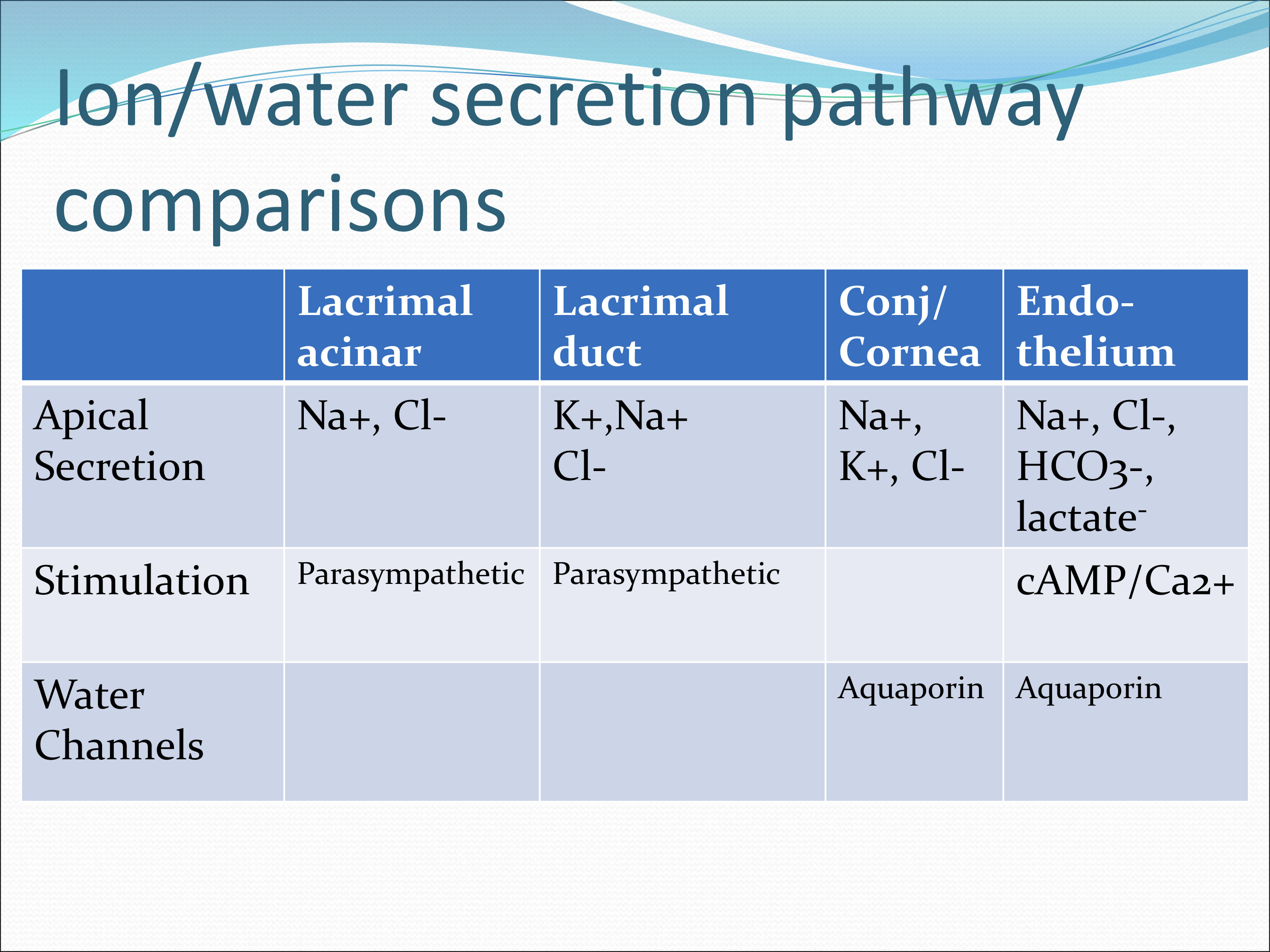 <p>parasympathetic stimulation</p>