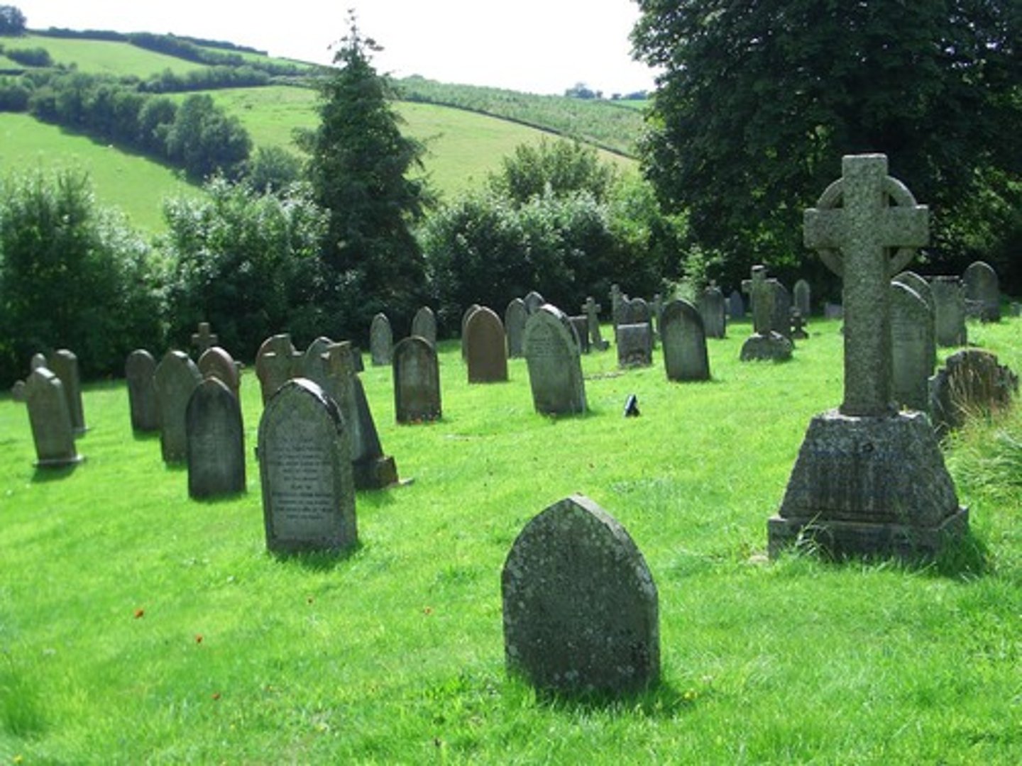 <p>une cimetière</p>