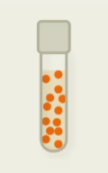 <p>doesn’t use oxygen, but doesn’t die when exposed to it (Can detoxify it!)</p><p>oxygen is not used in metabolism, but can live in the presence of it</p><p>can effectively manage reactive oxygen species</p>