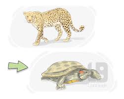 <p><strong>moving or operating more slowly than usual and with less energy or power:</strong></p><p><br></p>