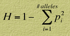 <p>measure of the average percent of loci that are heterozygous in population </p>