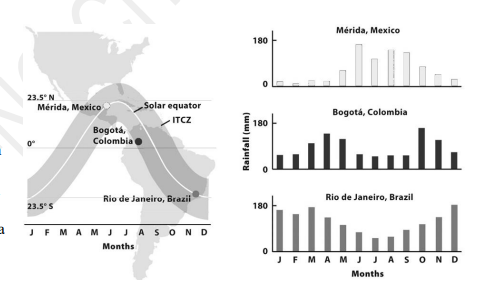 As shown on the right, 

A. Bogotá, Mérida, and Rio are at the same latitude 

B. Rio has the most pronounced dry season 

C. The sun is in the southern sky in June in Rio 

D. The sun is in the northern sky in June in Rio 

E. It rains the least in Mérida in the months when the sun is overhead at noon 